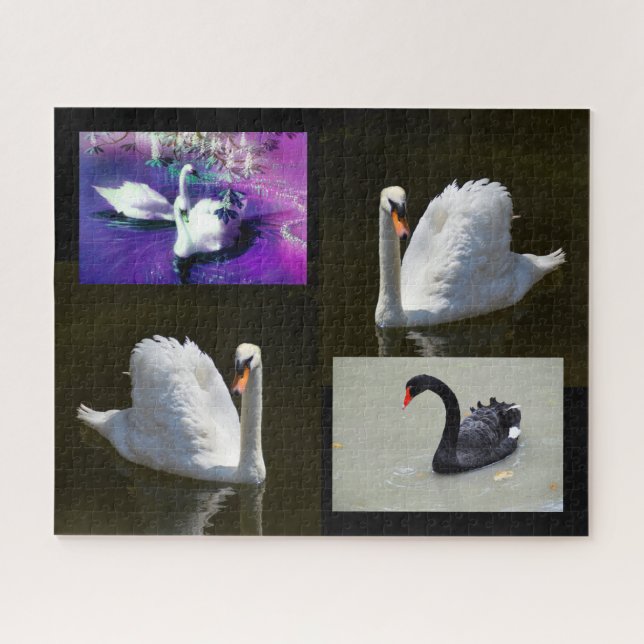 Puzzle Cygnes (Horizontal)