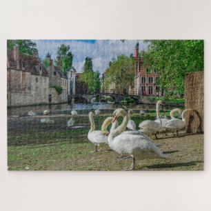 Puzzle Cygnes blancs dans le centre de Bruges