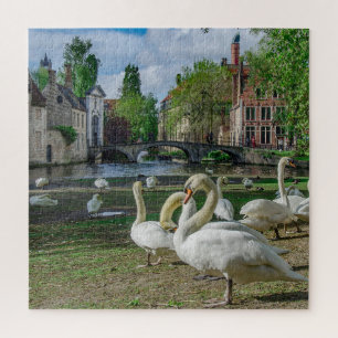 Puzzle Cygnes blancs dans le centre de Bruges