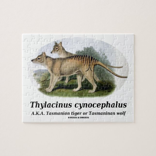 Puzzle Cynocephalus de Thylacinus (tigre ou loup (Horizontal)