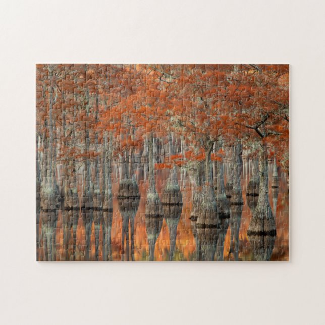 Puzzle Cyprès | George Smith State Park, Géorgie (Horizontal)