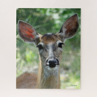 Puzzle D33 White-tailed Deer Doe