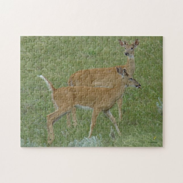 Puzzle D6 Cerfs de Virginie Jeunes Brocards (Horizontal)