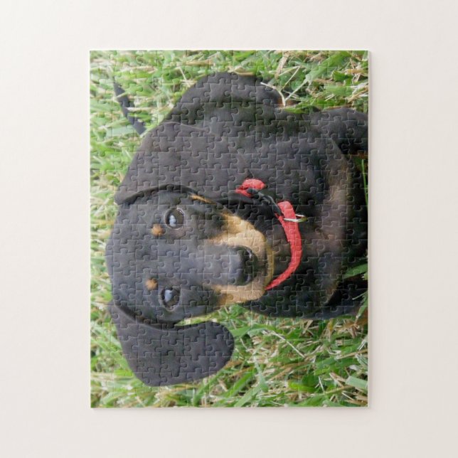 puzzle - Dachshund (Vertical)