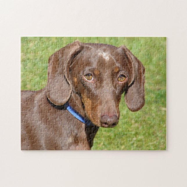 Puzzle Dachshund (Horizontal)