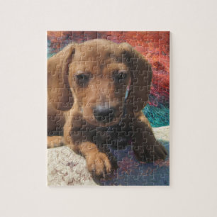 Puzzle Dachshund - Art Chien - Peinture - Portrait Animau