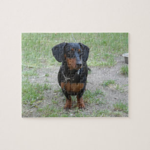 Puzzle Dachshund noir et Brown