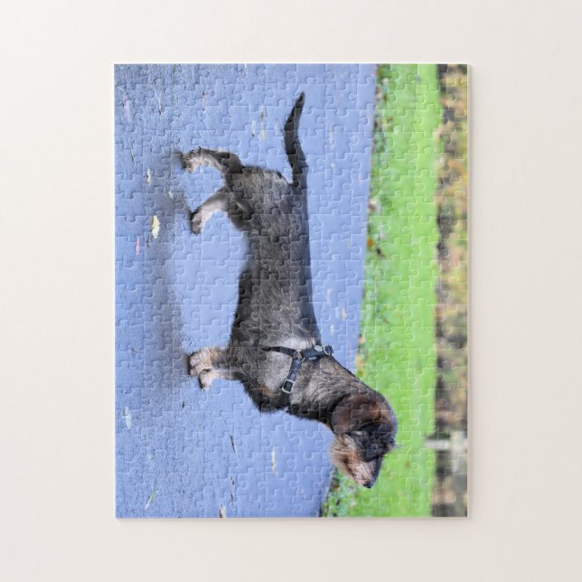 Puzzle dachshund poil dur complet (Vertical)