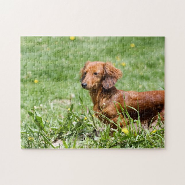 Puzzle Dachshund rouge (Horizontal)