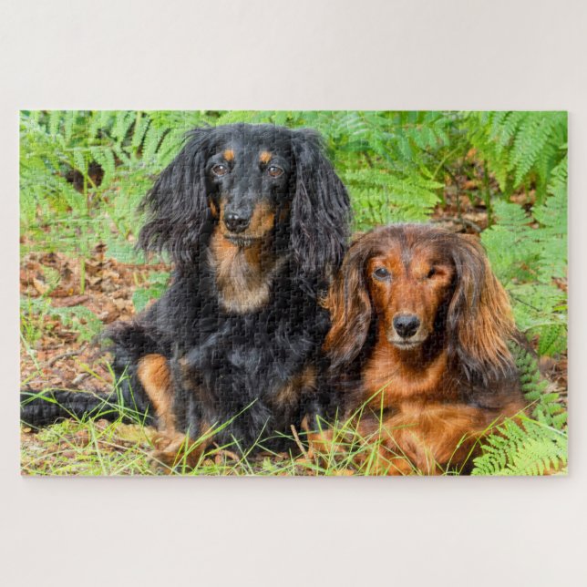 Puzzle Dachshunds (Horizontal)