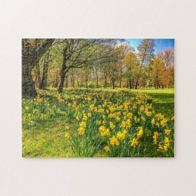 PUZZLE DAFFODIL (Horizontal)