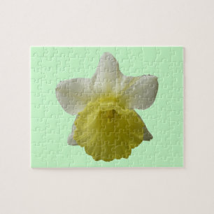 Puzzle Daffodil
