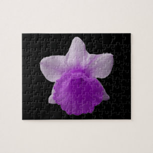 Puzzle Daffodil Purple
