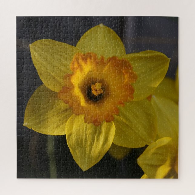 Puzzle Daffodique jaune (Vertical)