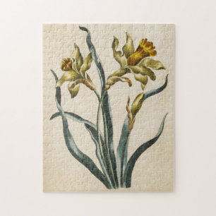 Puzzle Daffodique vintage de fleurs botaniques