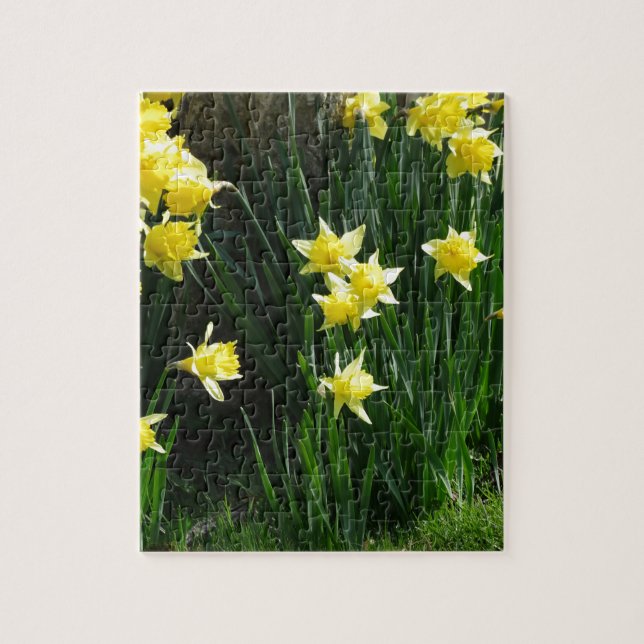 Puzzle Daffodiques de printemps (Vertical)