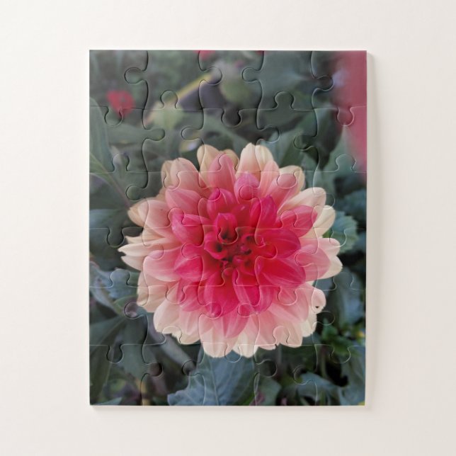 Puzzle Dahlia bigarré rouge et blanc (Vertical)