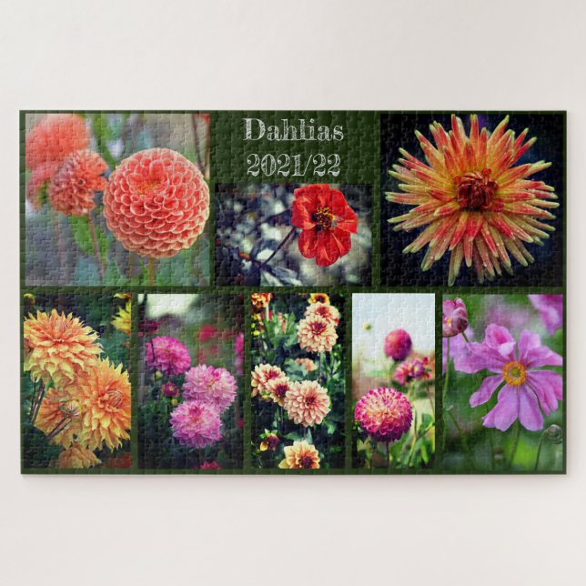 Puzzle Dahlia Fleurs Huit Collage Photo 1014pc (Horizontal)