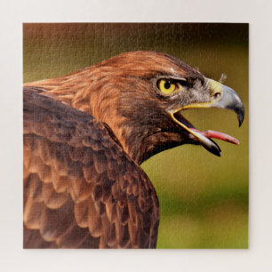 Puzzle d'aigle sauvage, 676 pcs