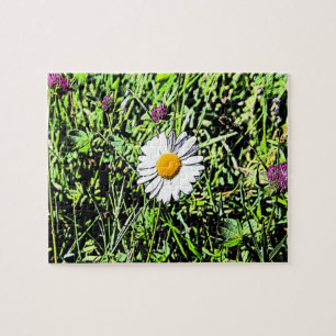 Puzzle Daisy