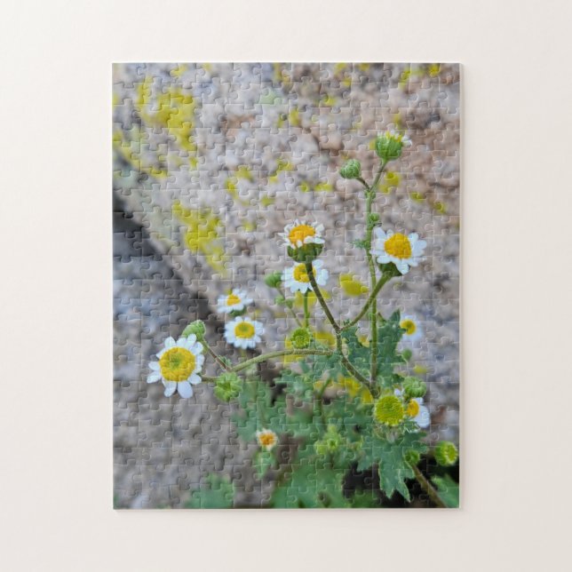 Puzzle Daisy Dots of Delight, 28 cm x 35,5 cm, 252 (Vertical)