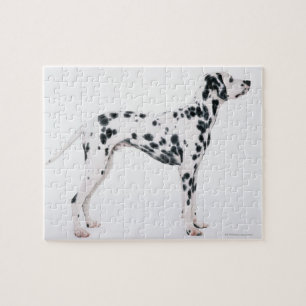 Puzzle Dalmatien 3