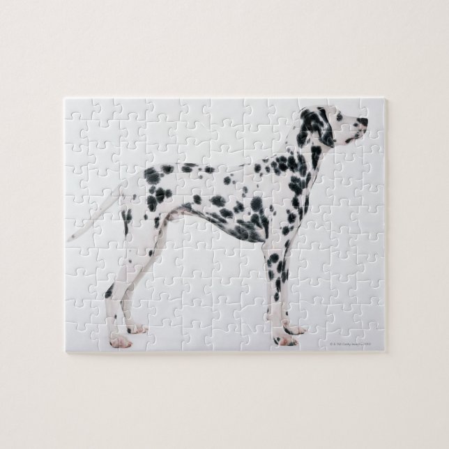 Puzzle Dalmatien 3 (Horizontal)