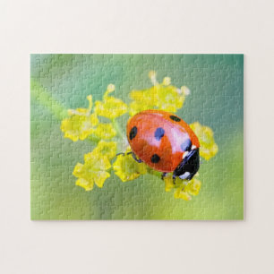 Puzzle dame sur le dessus