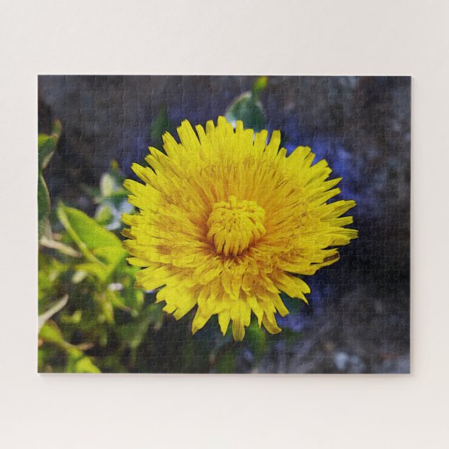 Puzzle Dandelion au soleil (Horizontal)