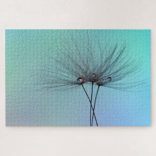 Puzzle Dandelion clocks