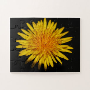 Puzzle Dandelion Flower 11x14 30pc jpcna