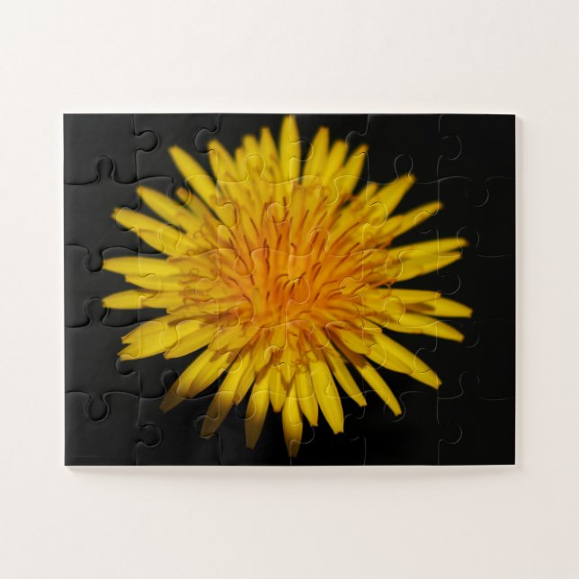 Puzzle Dandelion Flower 11x14 30pc jpcnm (Horizontal)