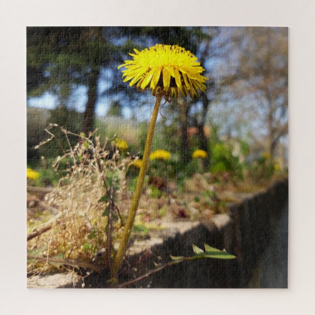 Puzzle Dandelions au soleil (Vertical)