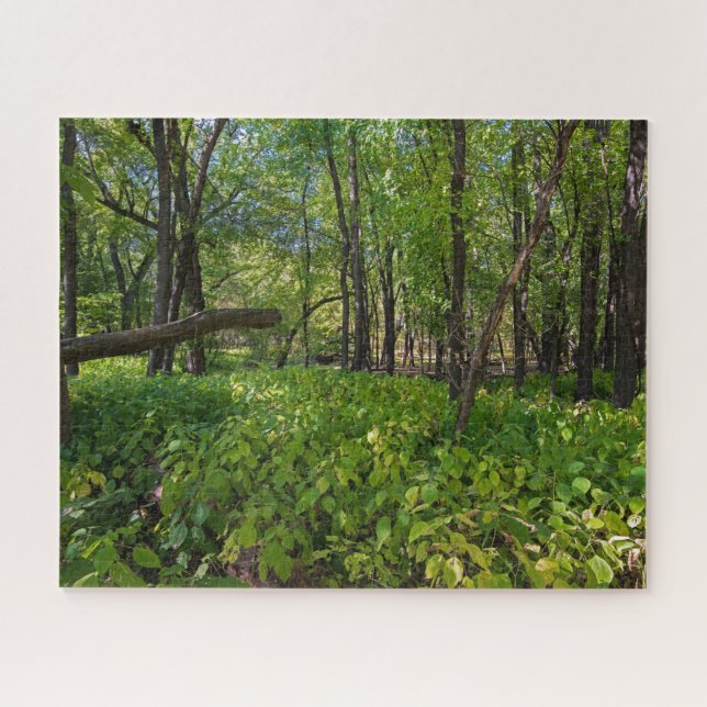 Puzzle dans la forêt à fort snelling state park (Horizontal)