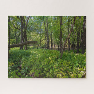 Puzzle dans la forêt du parc national fort snelling