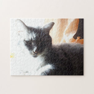 Puzzle Dans la lumière Sunny Chat ou faire votre propre