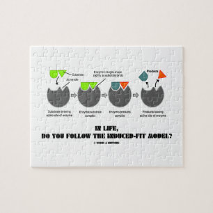 Puzzle Dans la vie, suivez-vous le modèle