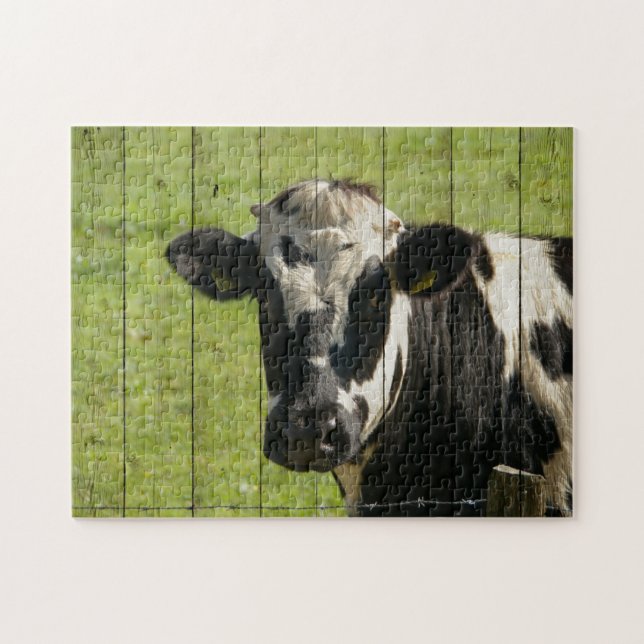 PUZZLE DANS LE CHAMP... (Horizontal)