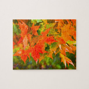 Puzzle Danse Maple Leaf