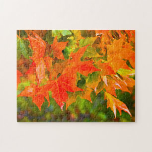 Puzzle Danse Maple Leaf