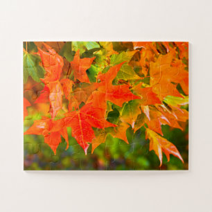 Puzzle Danse Maple Leaf