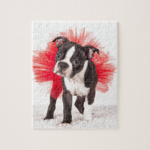 Puzzle Danseur de Boston