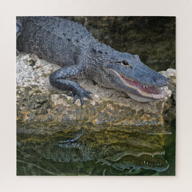 Puzzle Dark Crocodile with Clear Reflection in Water (Vertical)