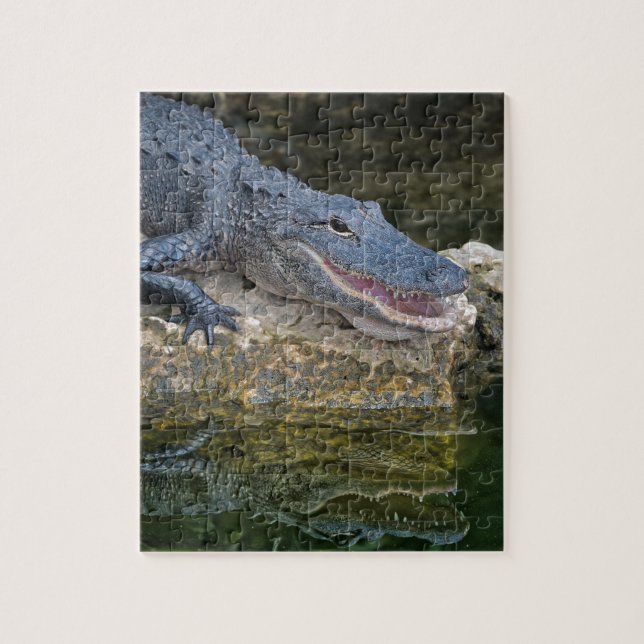 Puzzle Dark Crocodile with Clear Reflection in Water (Vertical)