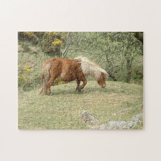 Puzzle Dartmoor Ponny, Wild English Horses /Britain (Horizontal)