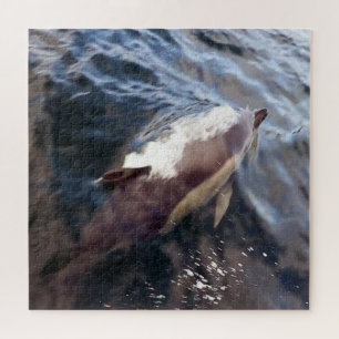 Puzzle Dauphin Commun Faisant Surface Vie Marine Océan Bl