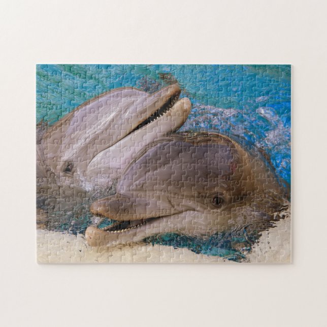 Puzzle Dauphins au Nevada. (Horizontal)