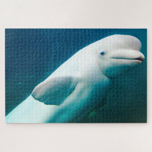 Puzzle Dauphins blancs des mers.