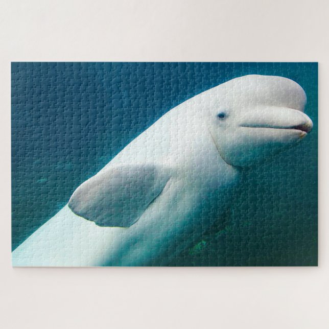 Puzzle Dauphins blancs des mers. (Horizontal)