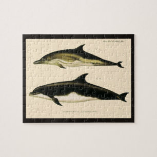 Puzzle Dauphins vintages, animaux marins et mammifères